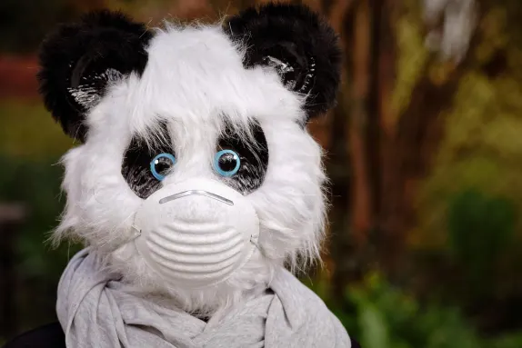 Casino Mars Bet Supporto